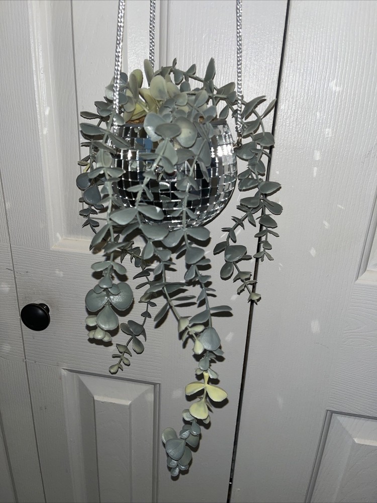 Disco Ball Hanging Plant 24”