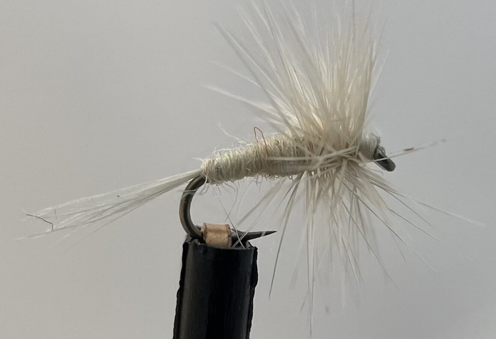 Cream Midge