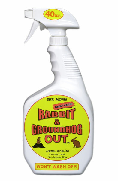 Rabbit & Groundhog Repellent: Rabbit Out 40oz Ready-to-Use