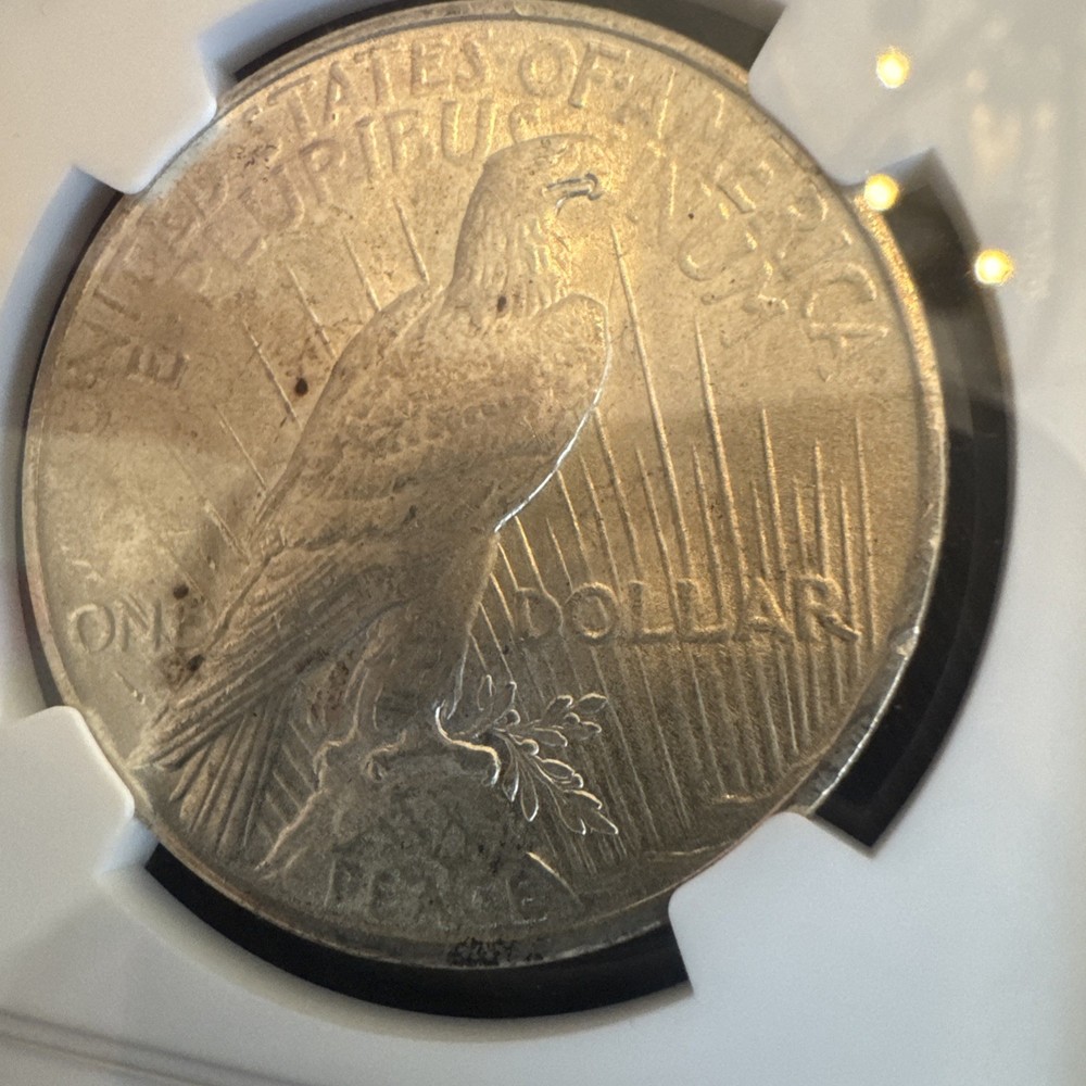 Peace Silver Dollar 1925 - 90% Silver Verified - NGC MS64