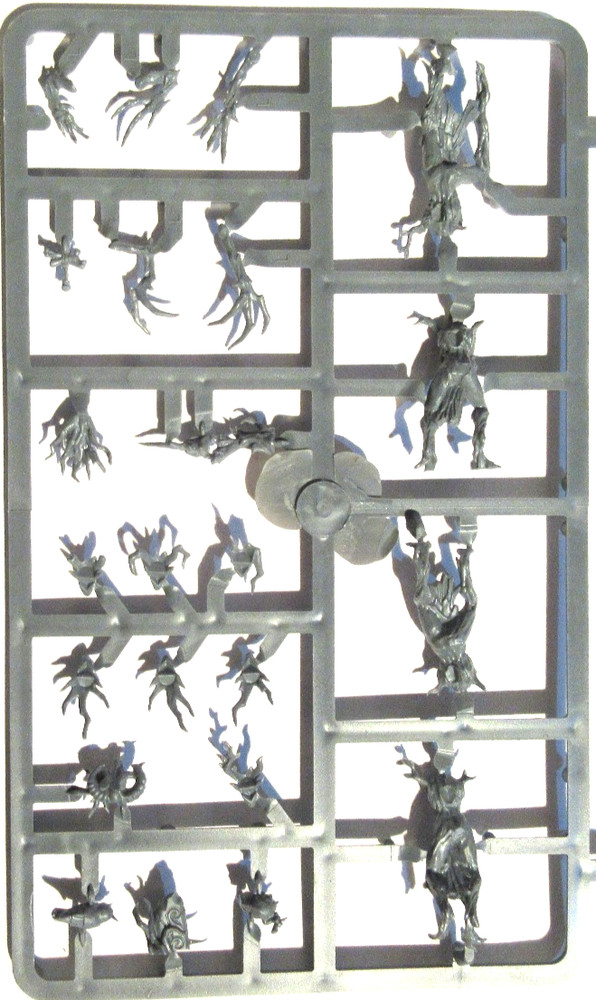 Warhammer Wood Elf Dryads Bits on Sprues