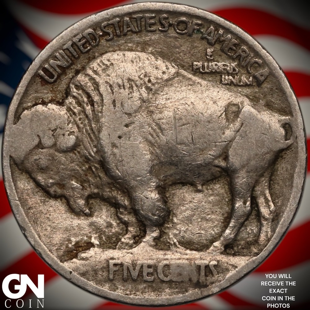 1913 P TYPE 1 Buffalo Nickel A1490