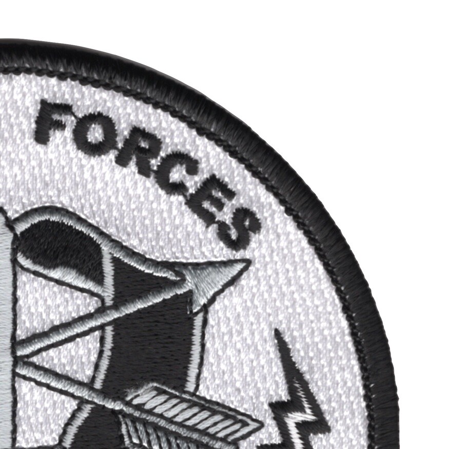 Special Forces The Quiet Professional Patch