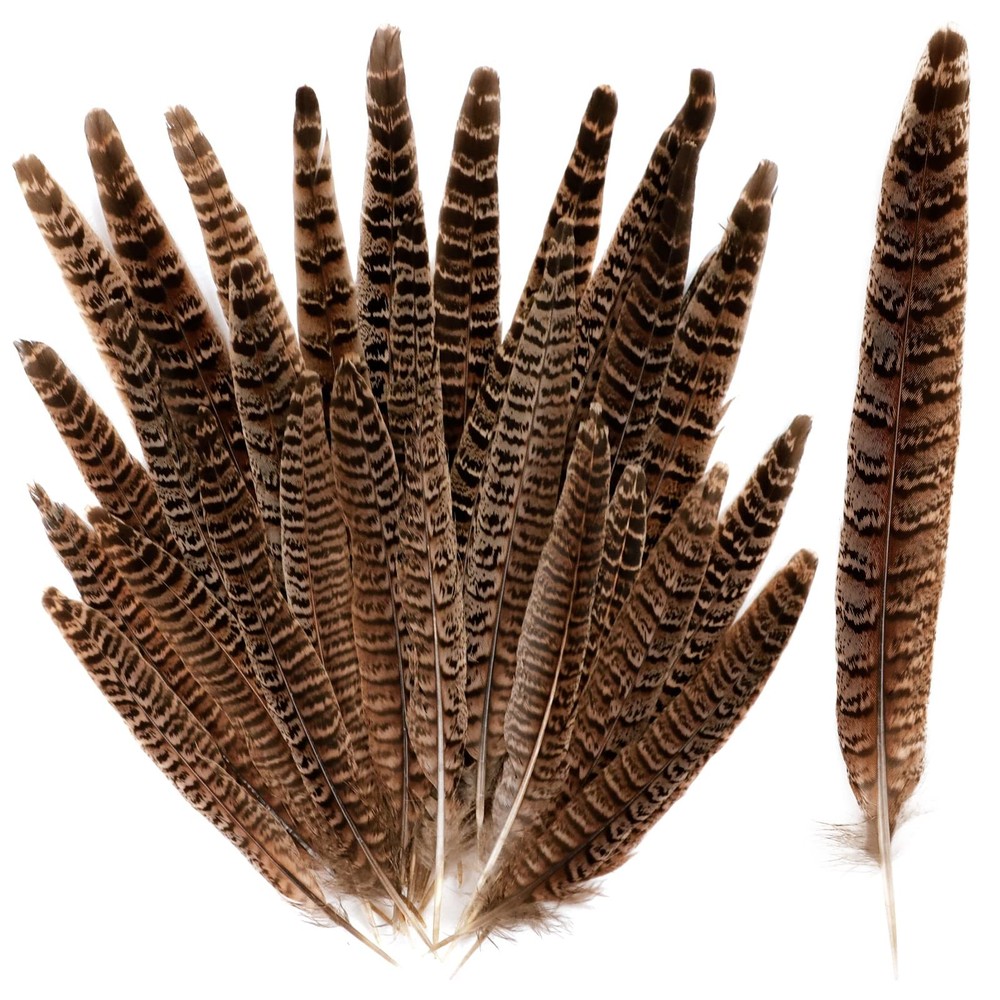30 PCS Natural Pheasant Tail Feathers 3 Assorted Sizes for DIY Crafts Decor