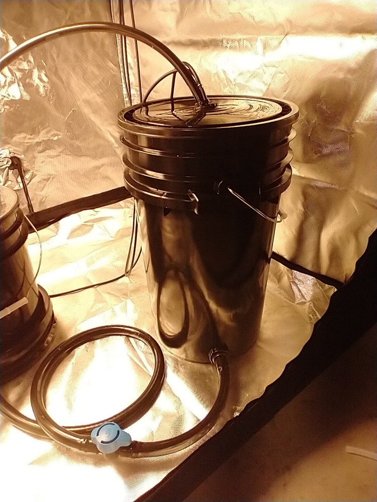 Drip Hydroponic Grow System Complete Super Size Plants Auto-feed Set Up USA Made