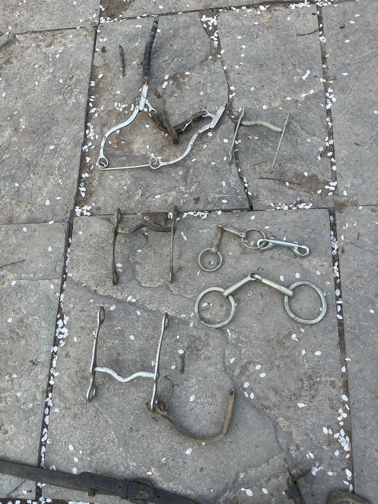 Vintage Horse Bits And Harness