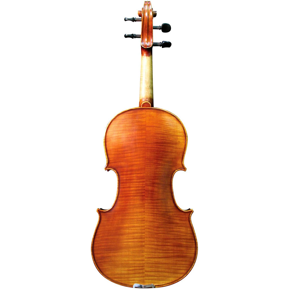 Maple Leaf Strings MLS 140 Apprentice Collection Viola Outfit 15.5 in.