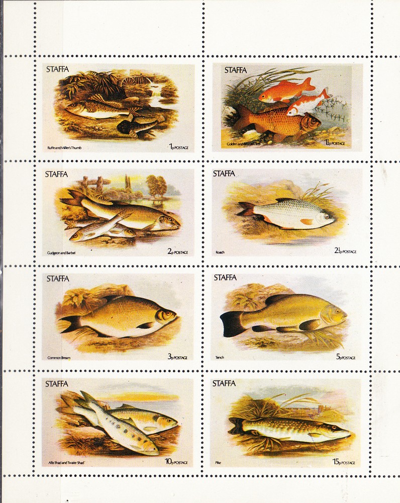W STAFFA 007 FISHES