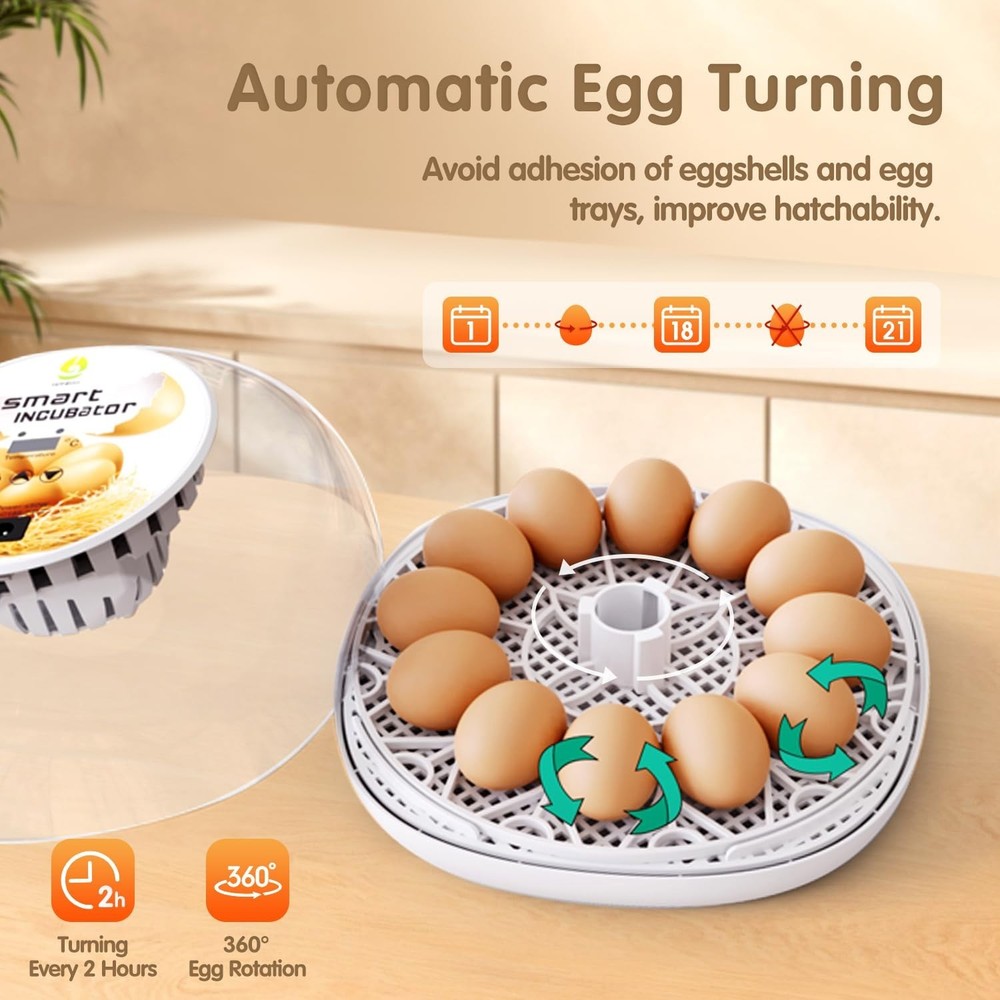 Incubators for Hatching Eggs Quail Egg Incubator 12 Eggs with Automatic Egg T...