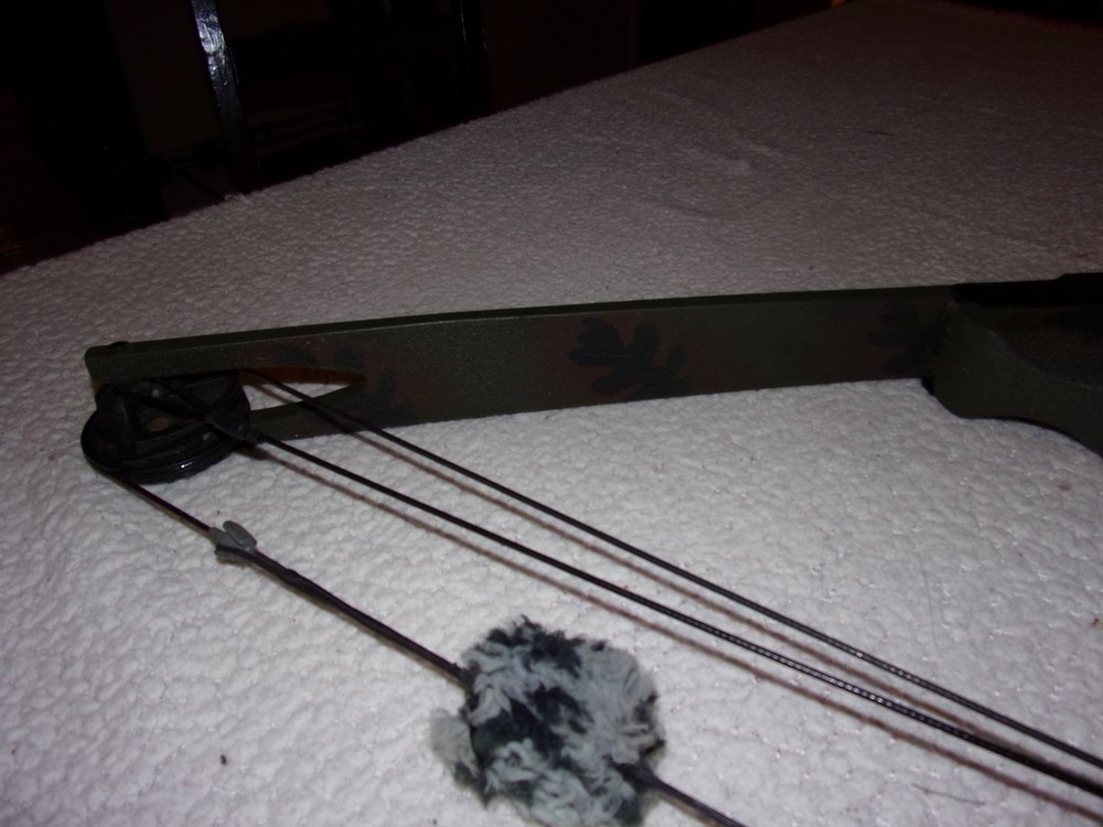 Gander Mountain Browning Trophy Hunter Compound Bow