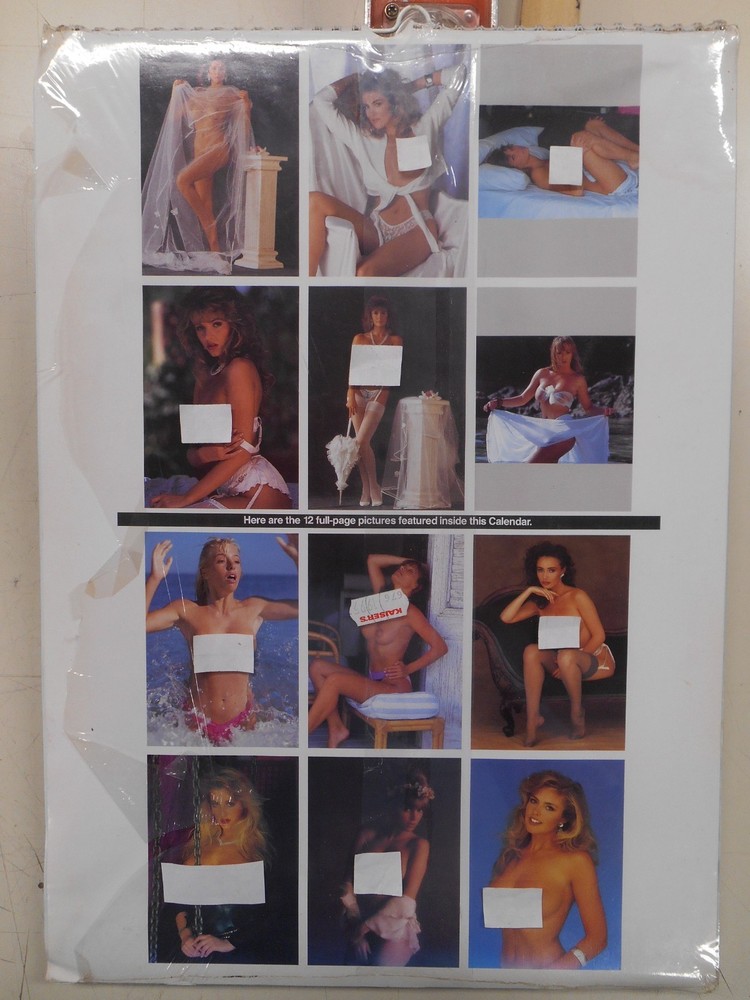 Topless 1993 calendar