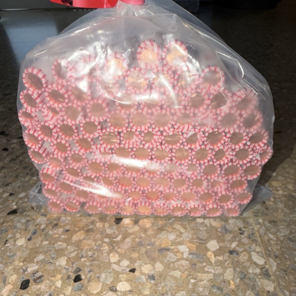 100 2025 Pennys rolls (P)