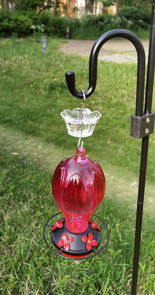Ant Moat for Hummingbird Feeder - 3 OZ x 2 Pack Clear Insect 2PC/Pack,