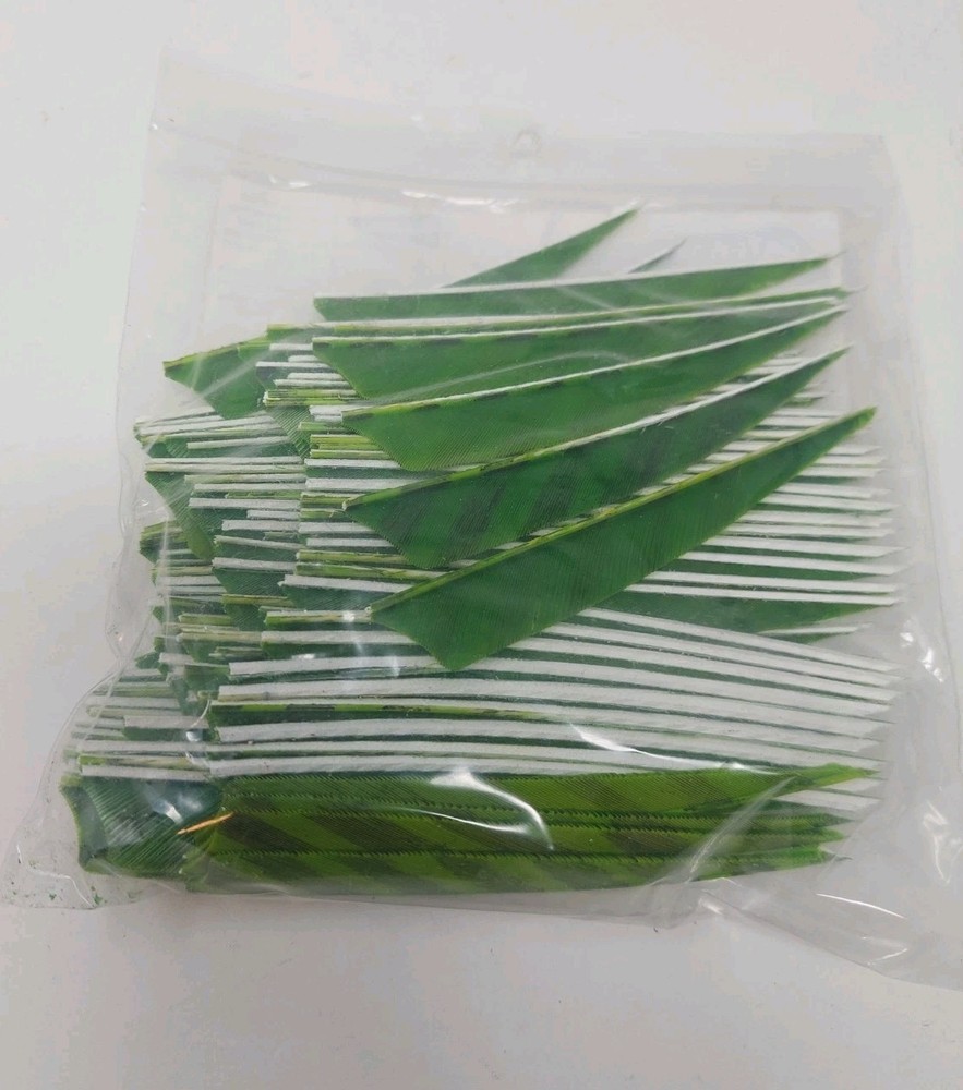 100 Pack Gateway Feathers 4" Right Wing: Shield Barred Chartreuse 400RSBCH