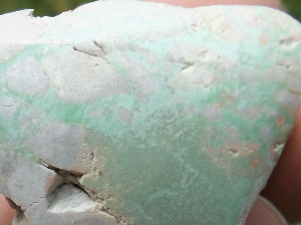 DIG-N-UTAH: VARISCITE UTAH POLISHED # L 6