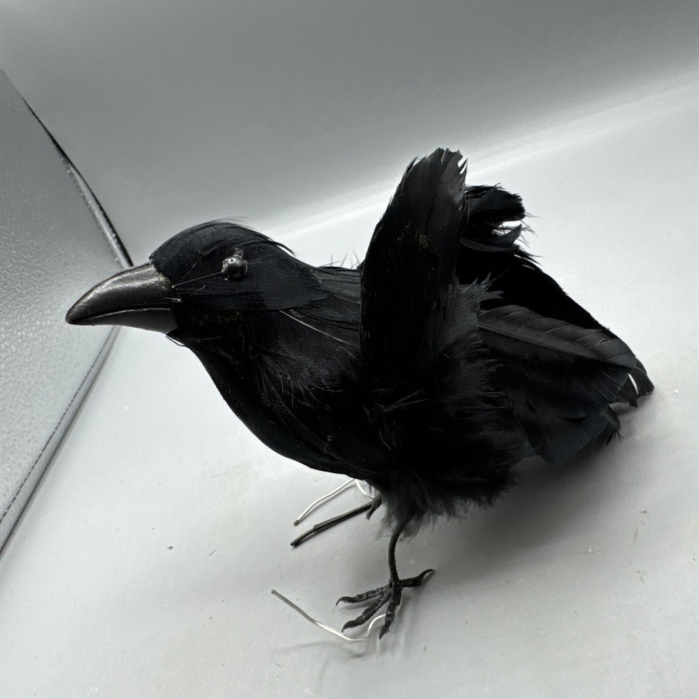 5 PCS Black Feathered Crows Halloween Ravens