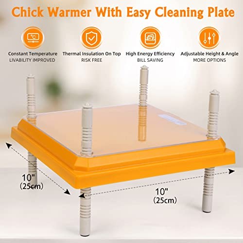 Brooder Heater for Chicks: Chick Brooder Heating Plate with Easy- Orange-10x10