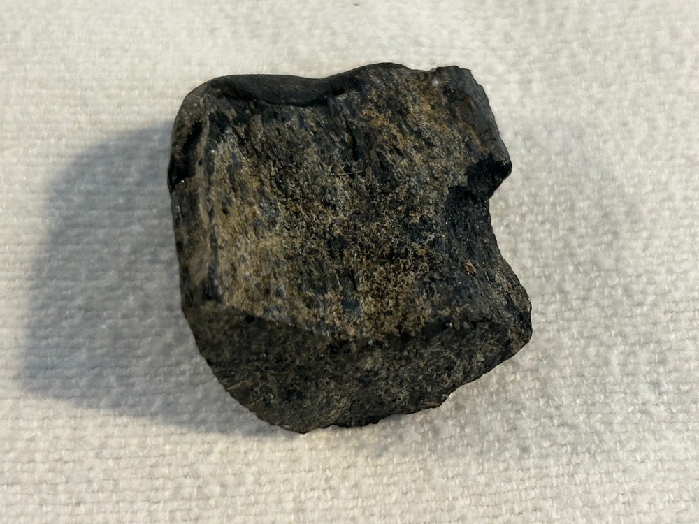 Stegosaurus Rib Sect Dino Bone - Morrison Form, WY, Jurassic 145 MYO