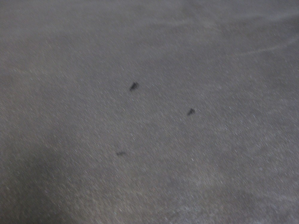 Cow Leather #0018036 Row 40