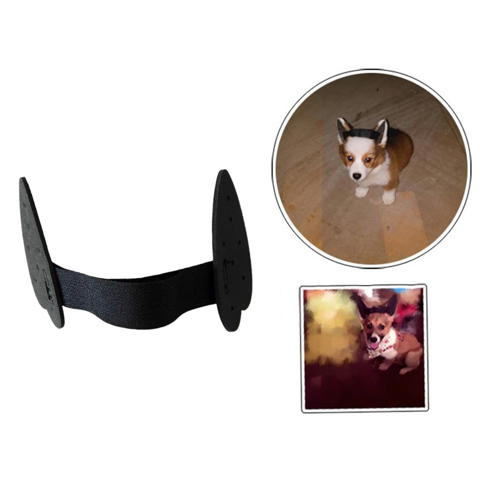 2x Durable Dog Ears Stand up Support Stand Ear Tools Ear