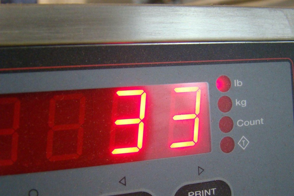 Plastic Linkbelt Conveyor Belt 42" x 9'