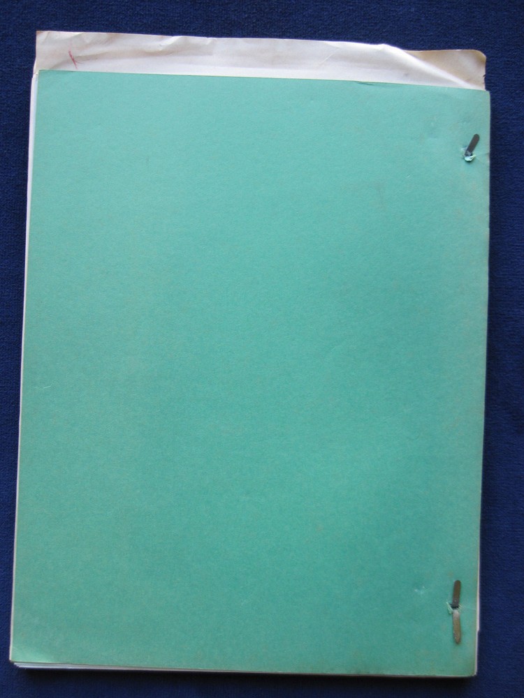 ORIGINAL TV MOVIE SCRIPT Deliver Us from Evil BRADFORD DILLMAN'S Copy with Notes