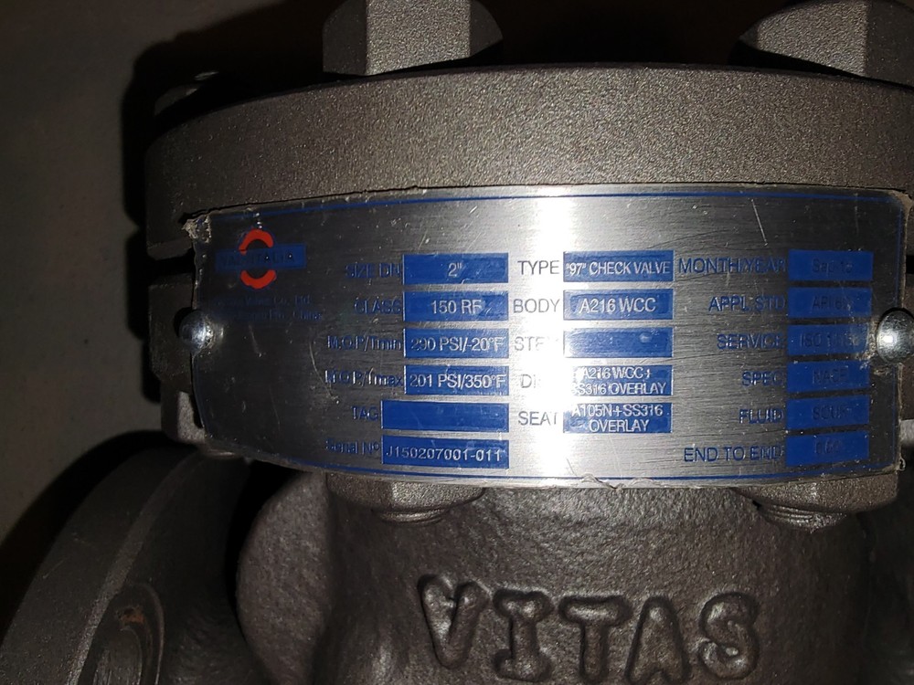 2" Swing Check Valve