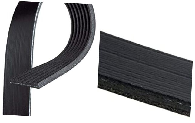 K070701 V-Ribbed Belt