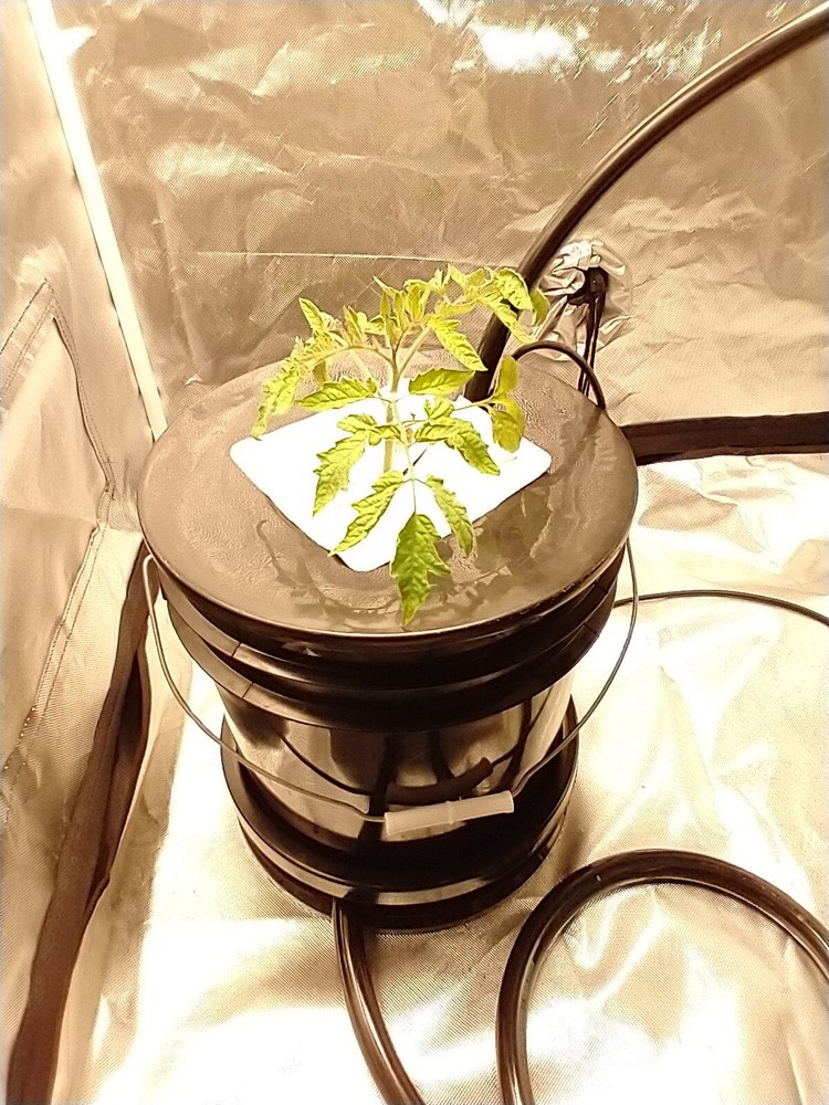 Drip Hydroponic Grow System Complete Super Size Plants Auto-feed Set Up USA Made