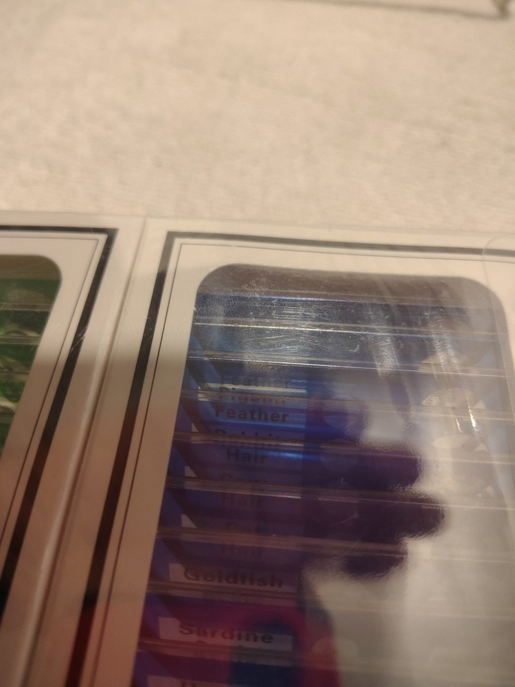 DIY SCIENCE ~ 48 Prepared‎ Microscope Slides Educational ~ 4 Boxes Of 12 ~ NEW