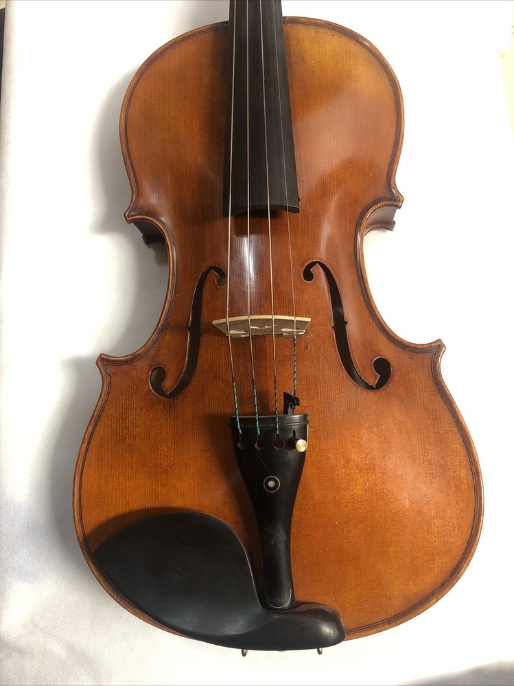 Angel Taylor A420 Viola 16”
