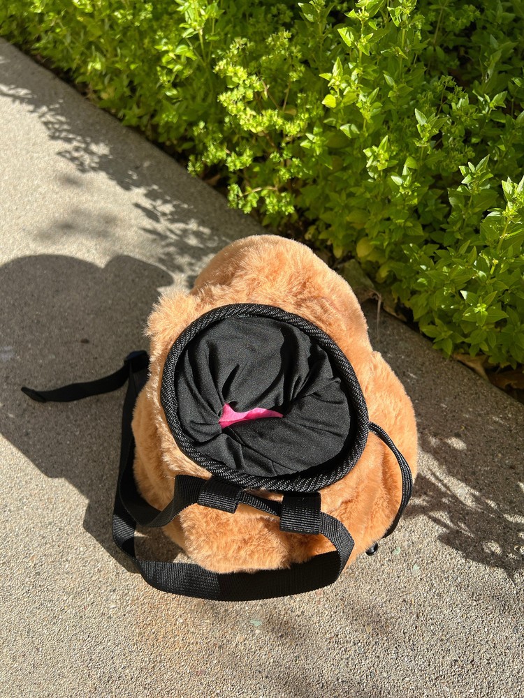 Capybara Snore Chalk Bag