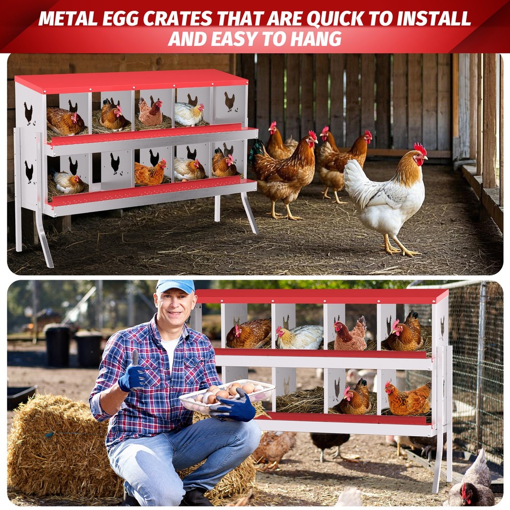 10 Holes Chicken Nesting Box, Metal Chicken Nesting Boxes, with Bracket Legs