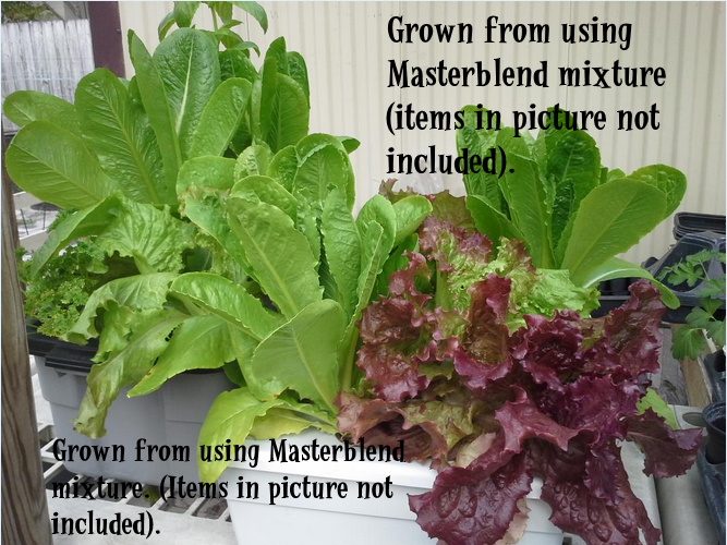 Masterblend Tomato & Vegetable Fertilizer 4-18-38 - 1 lb