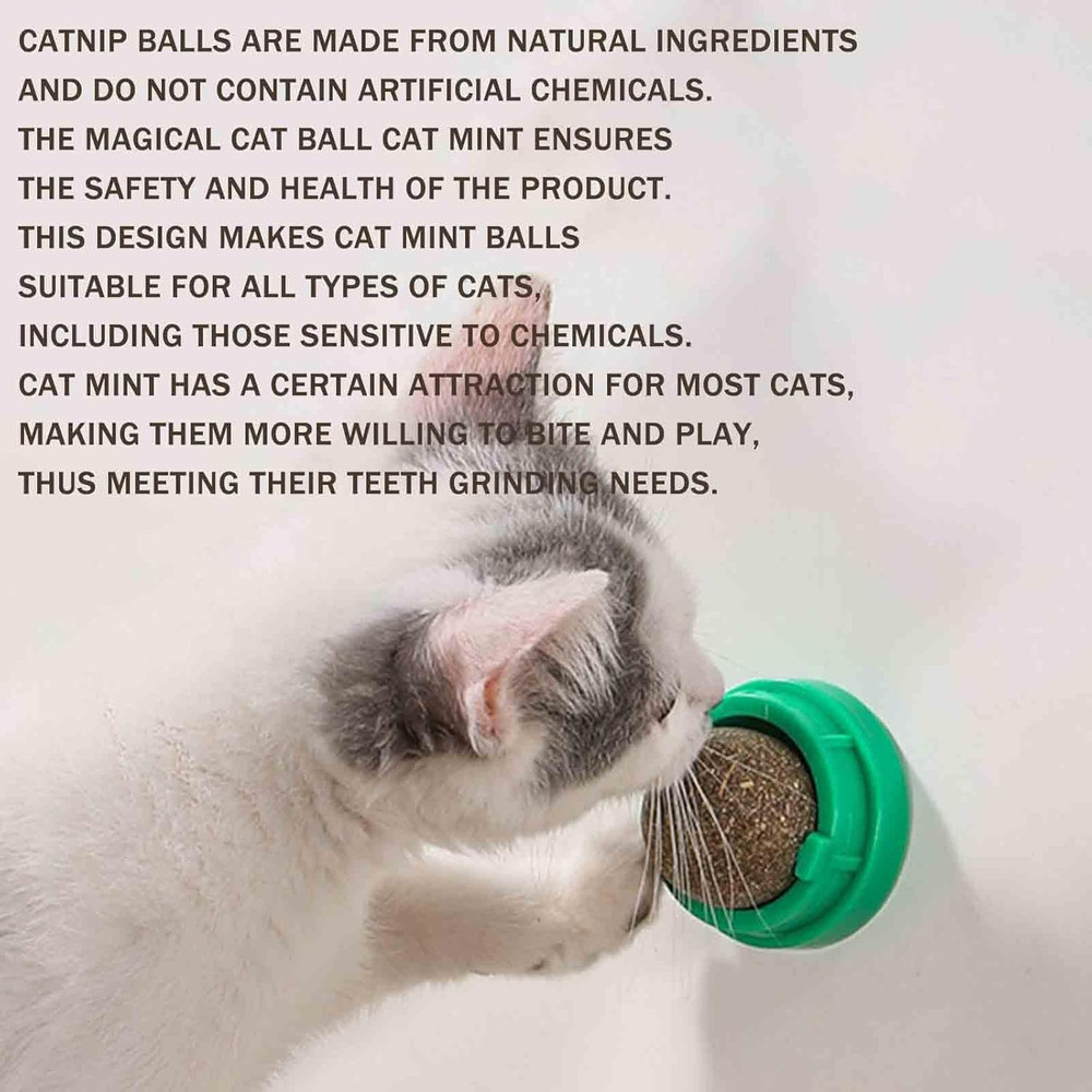 6 PCS Catnip Balls