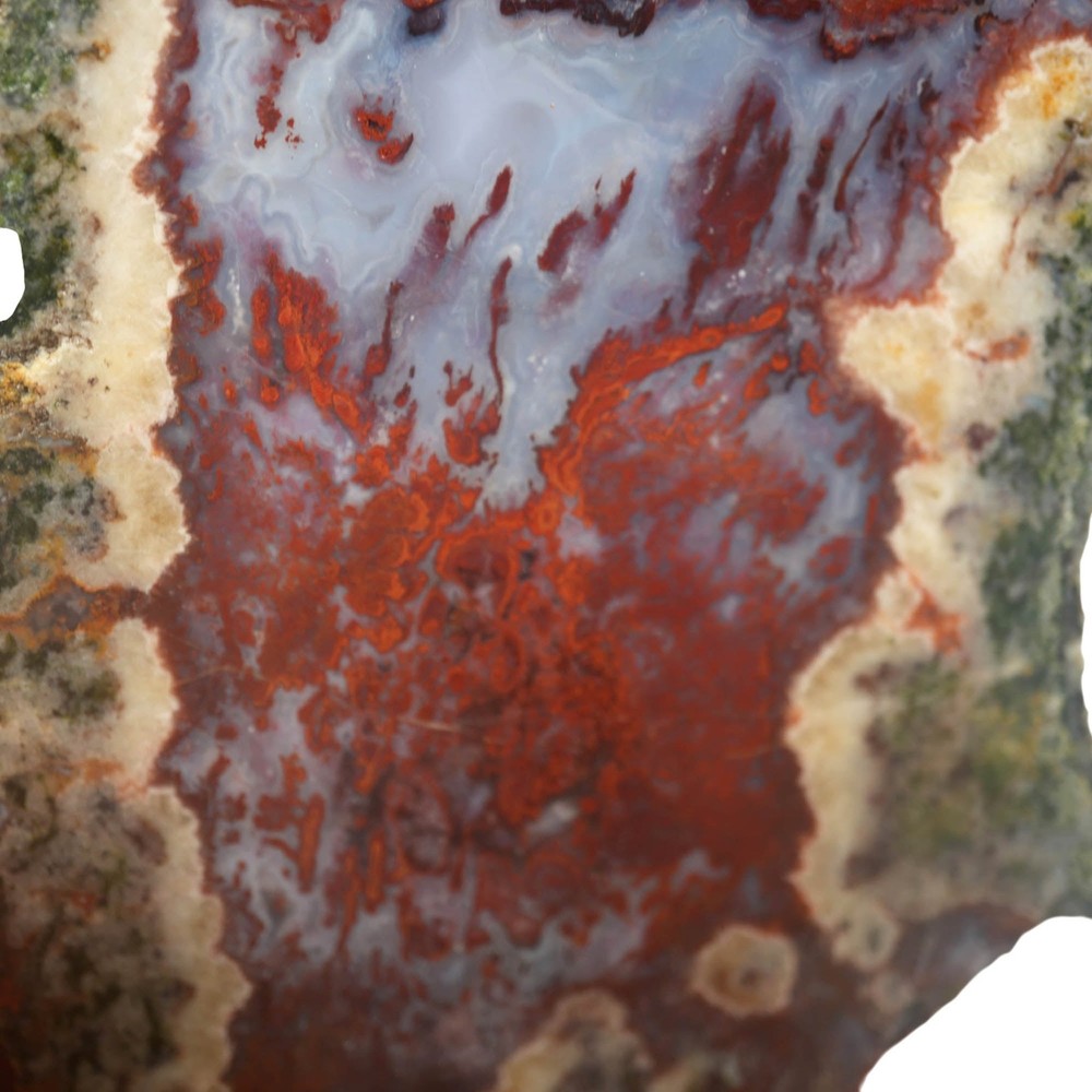 Red Lightning Agate Slab - Bright Red Moss Pattern