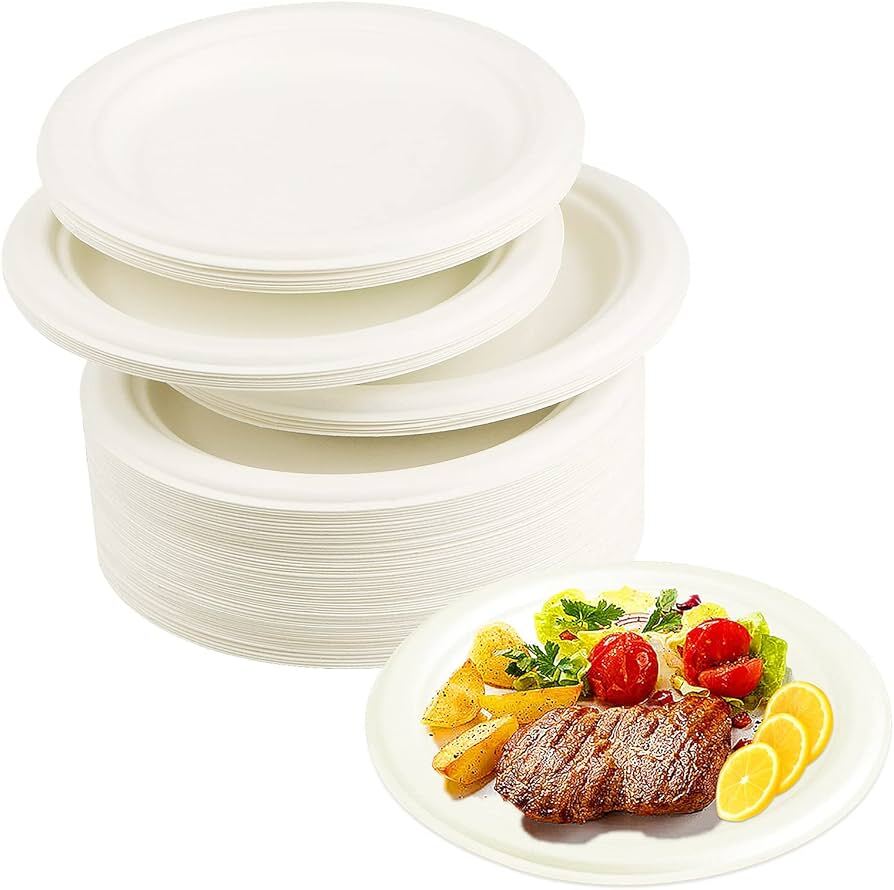 7" Small Size Strong Bagasse Disposable Party Plates Biodegradable ECO Friendly
