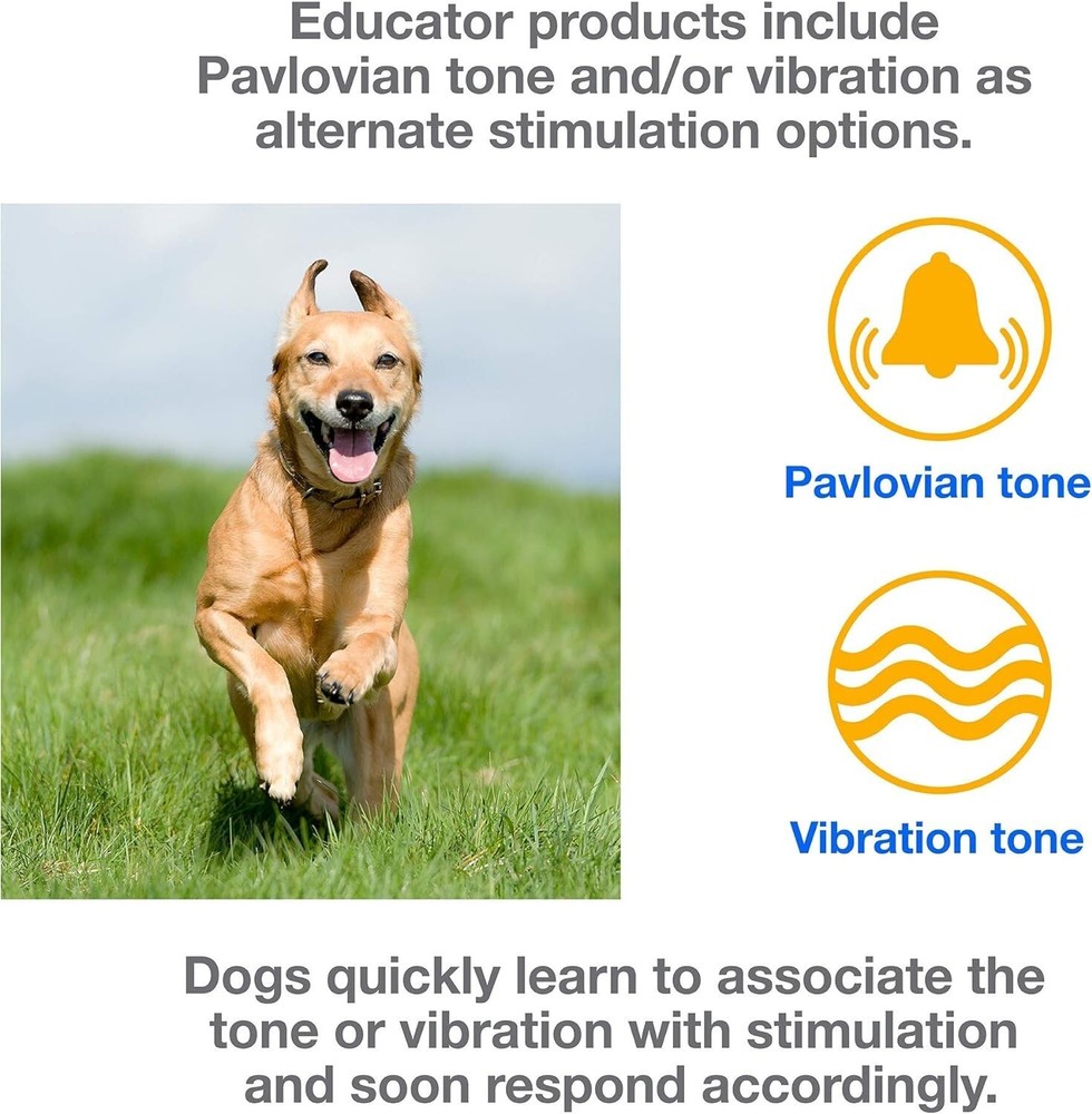 E-Collar PE-900/902 PRO Educator REPLACEMENT Transmitter ONLY - TEAL
