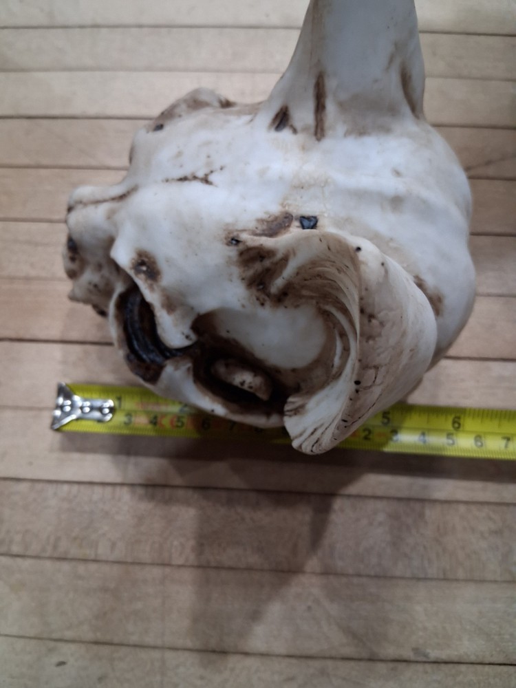 Bastet Cat Skull Figurine Gothic Egyptian Decor