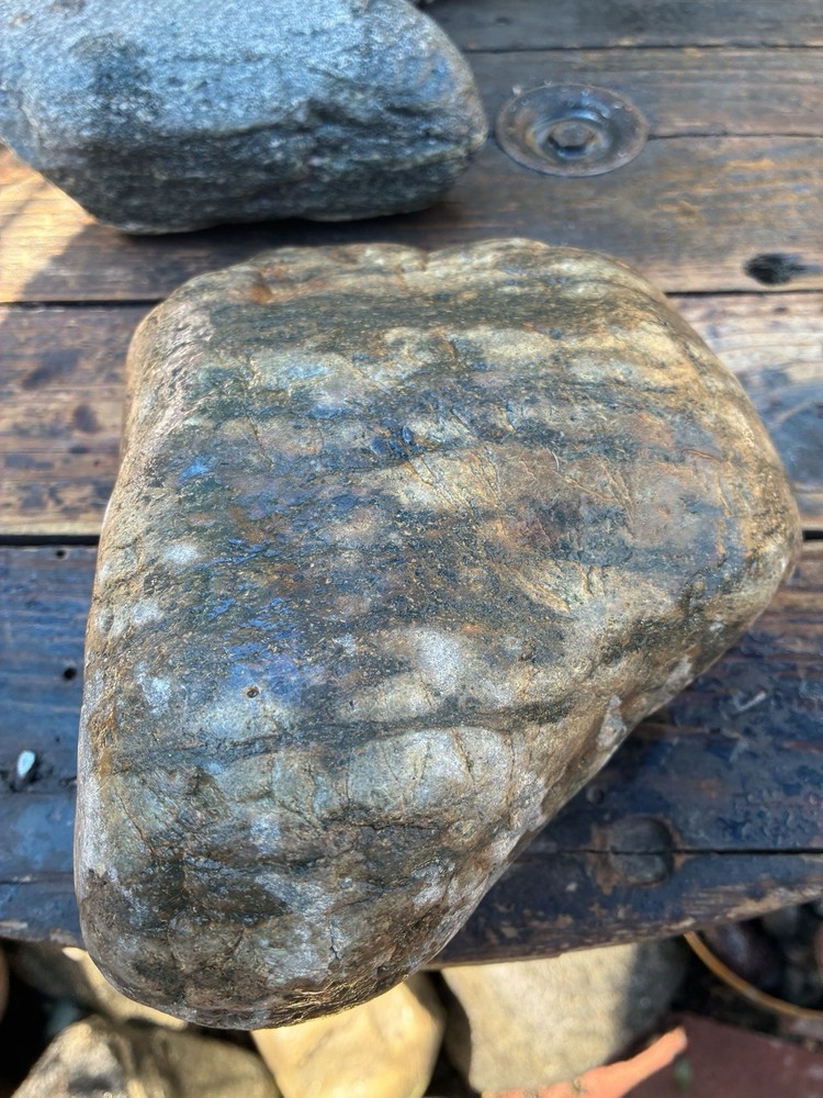 lapidary rough rock Serpentine Solid 7 Lbs