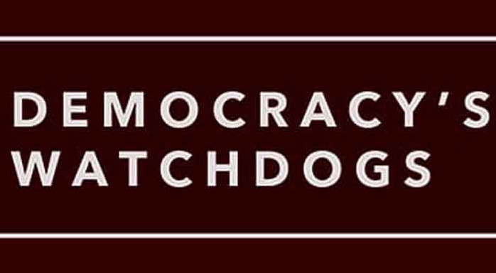 DemocracyWatchdog.com .com easy to remember two word domain name