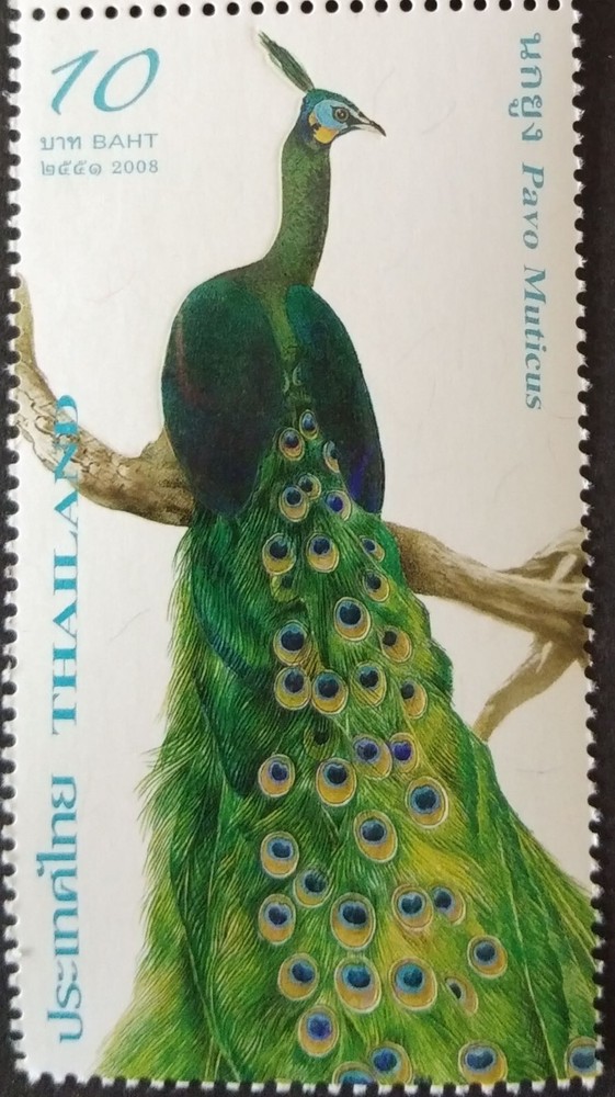 LekTan THAILAND STAMP -2008 Peacock-MNH