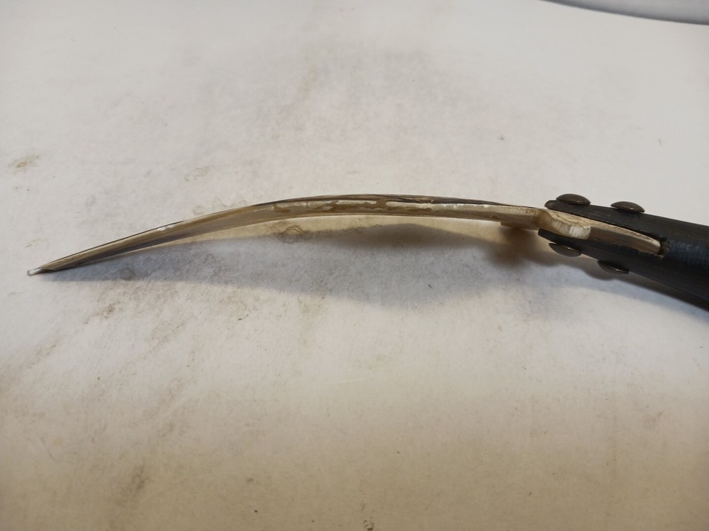 Vintage Bone Knife With Horn Handle
