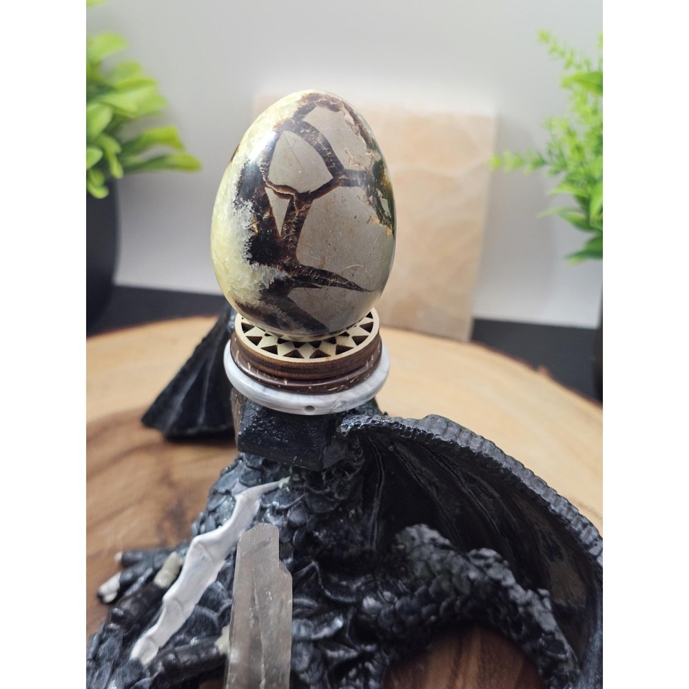 Septarian dragon geode - CrystalCloud Company - Septarian dragon geode