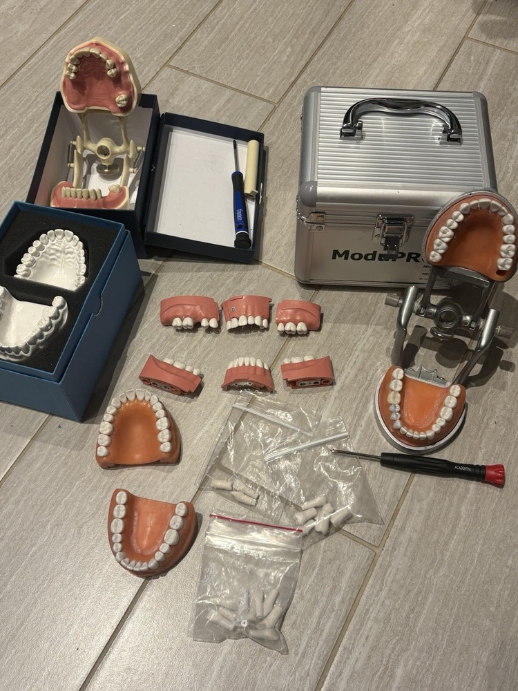Acadental ModuPRO Typodont Bundle with Articulator, Case, and Bonus Items