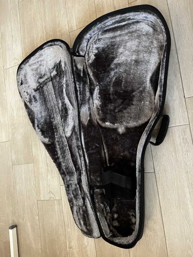 Altamira N100 Guitar