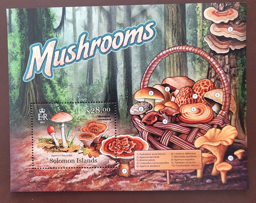 Solomon Island 2013 /  Mushrooms / 1v ms