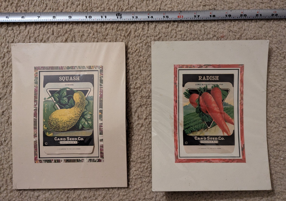 (2) Vegetable Empty Seed Packets - Card See Co.