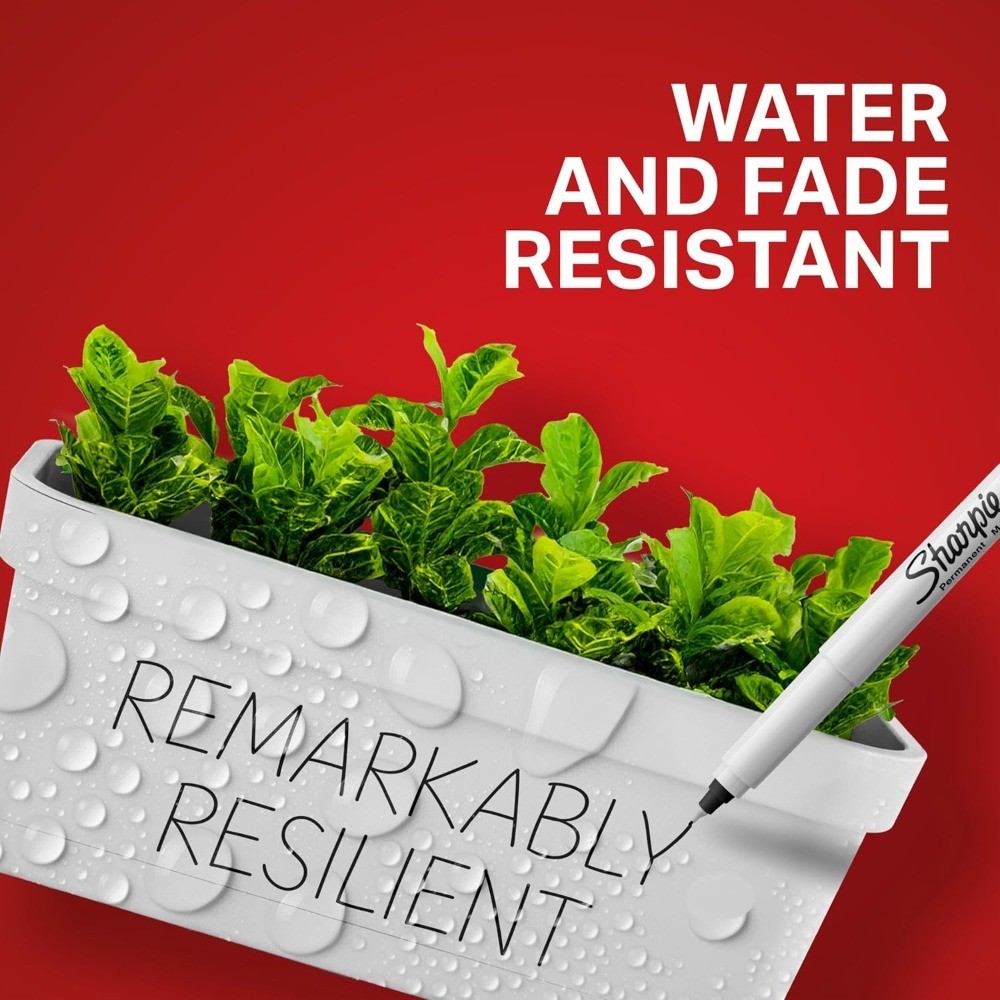 Ultra Fine Point Permanent Markers Black 2 Pack