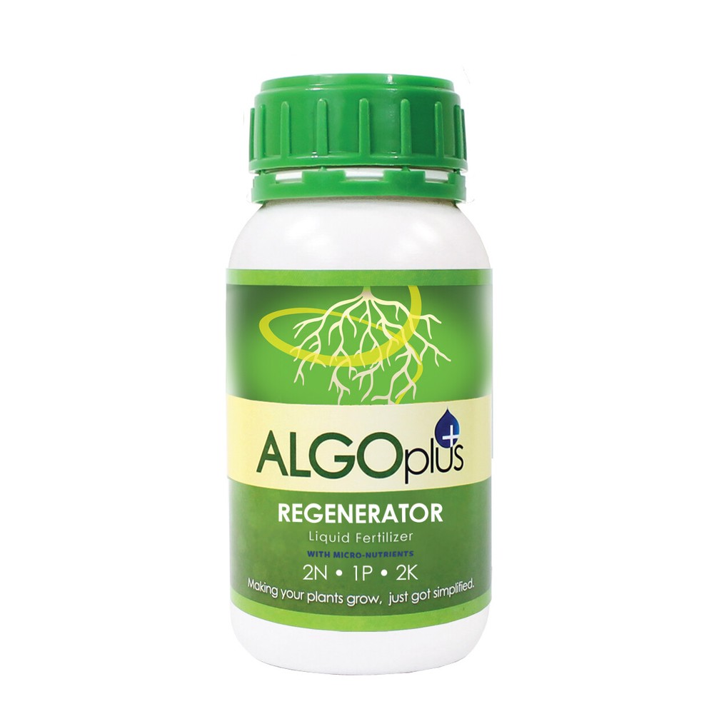 Algoflash AlgoPlus Regenerator 2-1-2